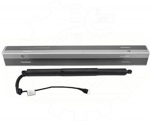 Bmw X5 Right Rear Trunk Shock 51247434042