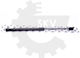Αμορτισέρ Πίσω Πόρτας Renault Megane Ii 8200051750 8200051750