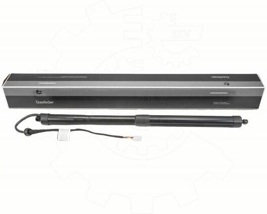 Amortizoare Ușa Spate Toyota RAV 4 V Stânga 6892042020