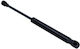 Amortizoare Capota Haion Peugeot 306 1993 4d