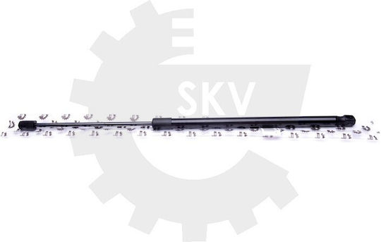 Amortizoare Ușa Spate Renault Espace Iii 6025305941 6025305941