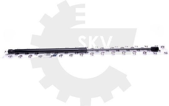 Amortizoare Ușă Spate Renault Scenic Megane Scenic 7700828454 7700828454