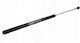 Hart Trunk Shock for Seicento 98-05