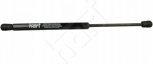 Amortizoare Portbagaj Peugeot 407 2004-2010 Stație Wagon 8731j6