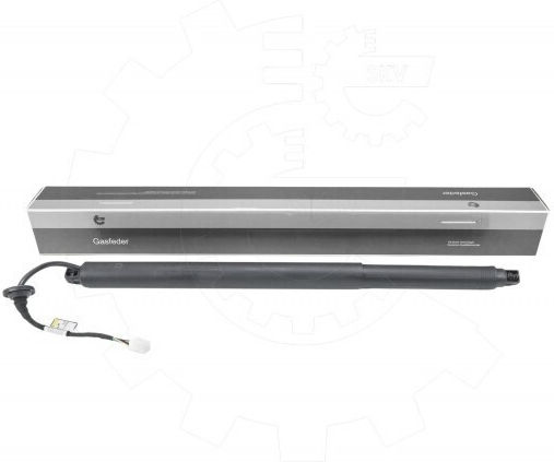 Subaru Outback Left Rear Trunk Shock