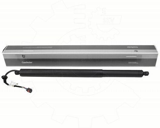 Audi E-tron Rear Door Trunk Shock Left or Right Side