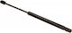 Kofferraum-Schock Peugeot 407 Station Wagon 04 070549b