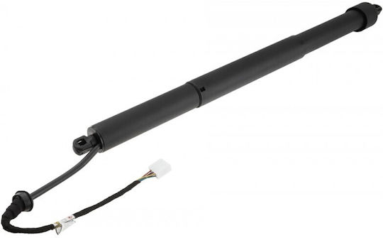 Amortizoare Ușa Spate Lexus Nx 22 Stâng 6891078031