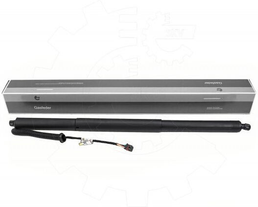 Αμορτισέρ Πίσω Πόρτας Ioniq V Αριστερό 81831gi101