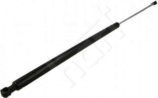 Amortizoare Motor BMW 7 E65 E66 02 51238240596