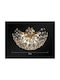 Lightplanet Plafonieră de Tavan 35cm cu LED Integrat și Cristale