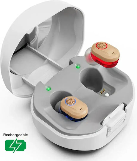 Laiwen Z-127c Pair of Rechargeable Digital In-ear Hearing Aids Left and Right Ear Charging Base