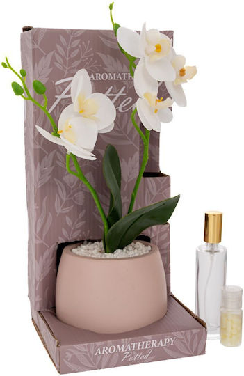White Orchid Plant Ceramic Pot Room Fragrance My Paris 14x14x30cm Iliadis 92842 Material Ceramic White Iliadis Il_92842 White Orchid Plant Ceramic Pot Room Fragrance My Paris 14x14x30cm Iliadis 92842 Material Ceramic White Iliadis Il_92842