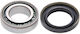 Κιτ Επισκευής Πίσω Ημιαξόνων Nissan Frontier D40 2004.10 Us 40210-7s210