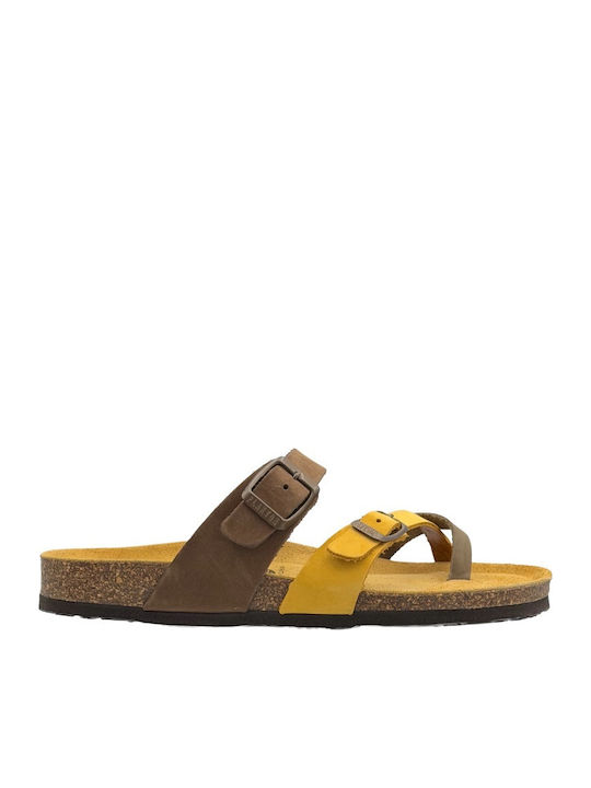 Plakton Leather Women's Anatomic Sandals Brown