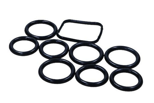 Set Garnituri Auto Evacuare Multipla Citroen 1,6d 0348r4
