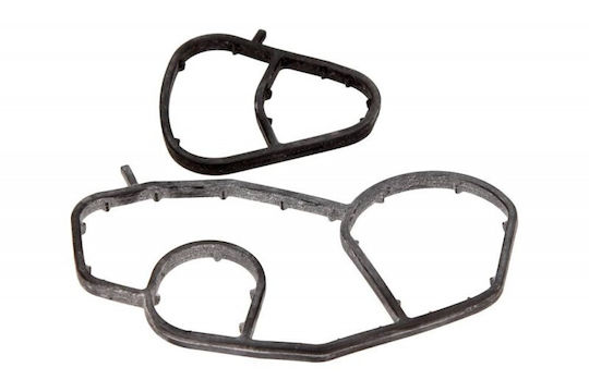 Set Garnituri Filtru Ulei Citroen Peugeot 1.4-1.6 1613571980
