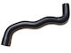 Furtun Răcire Ford Tranzit Connect 02 Radiator Superior 4378819