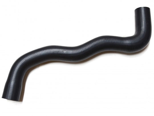 Furtun Răcire Ford Tranzit Connect 02 Radiator Superior 4378819