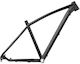 Accent Bicycle Frame