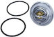Termostat Chrysler 79°c Voyager 2 0-3 3/2 5d 95-08 Rtc6673