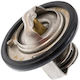 Daewoo Matiz Kalos Auto-Thermostat 94580182