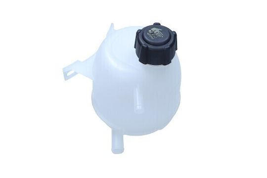 Recipient De Expansiune Renault Megane Scenic 99 7701468746