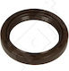 Hart Oil Seal 38x50x8/5.5 Front Crankshaft 646269