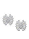 Silver Earrings with Stones