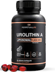 Perpetua.Life® Urolithin-A Липозомален 1000мг 60 Меки Капсули Perpetua.Life® Urolithin-A Липозомален 1000мг 60 Меки Капсули