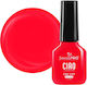 One Step Semi-permanent Nail Polish Sensopro Mi...