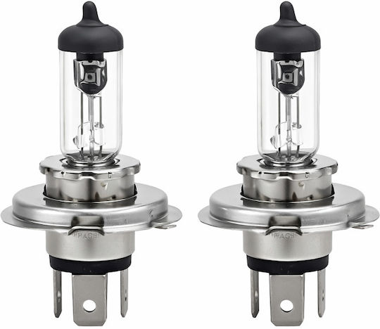 Poly Poly Autolampen H4 P43T Halogen 2500K Warmes Weiß 12V 2Stück