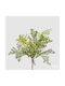 Dekoratives Zweigstelle Capelvenere 47cm Edg Ed232825-700