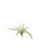 Sucursală Decorativă Plantă 63cm Arpimex Srl Arp-a26251