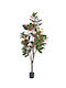 Διακοσμητικό Φυτό Magnolia 195εκ Arpimex Srl Arp-a29444