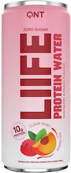 QNT Raspberry με Ανθρακικό 330ml
