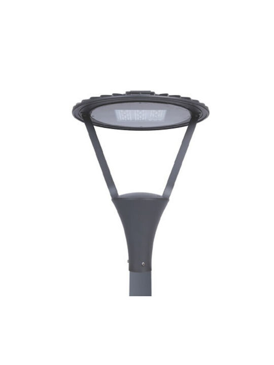 Eurolamp Outdoor Floor Lamp LED Road 30W