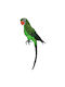 Decorative Green Parrot 67cm La686207