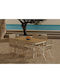 Set Sala De Mese Pentru Exterior Dallas 5203 7 Piese Lemn De Teak