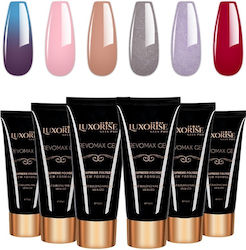 Set 6 Revomax Luxorise Polygel Brilliance Nails 05