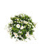 Succulent Plant Crown Flowers 28cm Thim21165 White