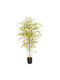 Artekko Green Artificial Potted Plant of Japanese Bamboo 120cm x 120cm