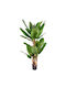 Artekko Grünes Künstliches Musa Baum in Topf 180cm x 180cm