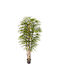 Artekko Verde Plantă Artificială Verde Rapis În Ghiveci 180cm X 180cm
