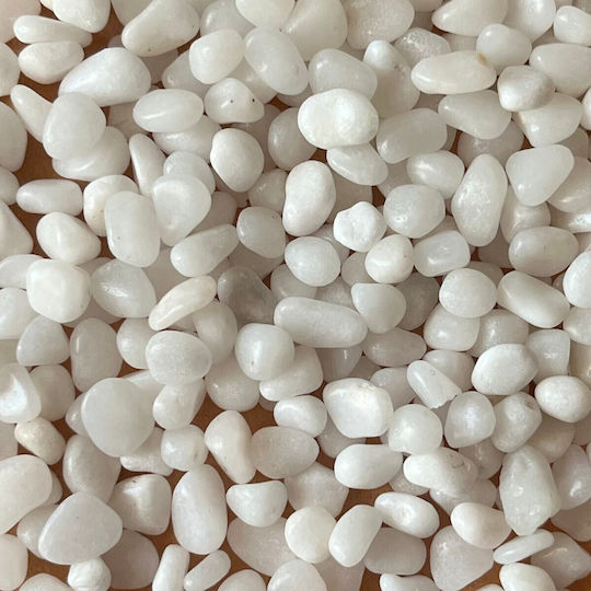 Epigasos Natural Polished Aquarium Gravel White 1-3mm 1kg