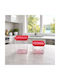 Plastic Brown Sugar Jars Fuchsia Lid 2 Pieces Galifas 987871 Galifas