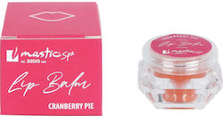 Mastic Spa Lip Balm 10gr