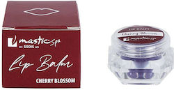 Mastic Spa Lip Balm
