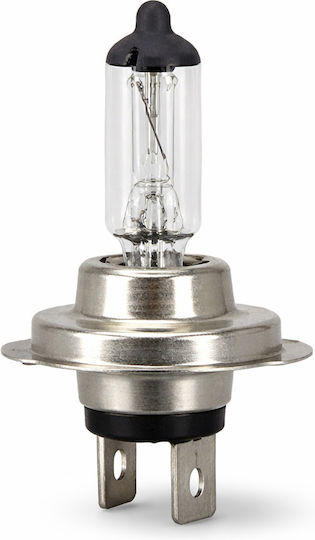 Lămpă Auto H7 12v 55w Px26d Halogen Lumini De Drum & Fază Medie – Cd-1956