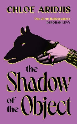 The Shadow Of The Object Chloe Aridjis Chatto & Windus